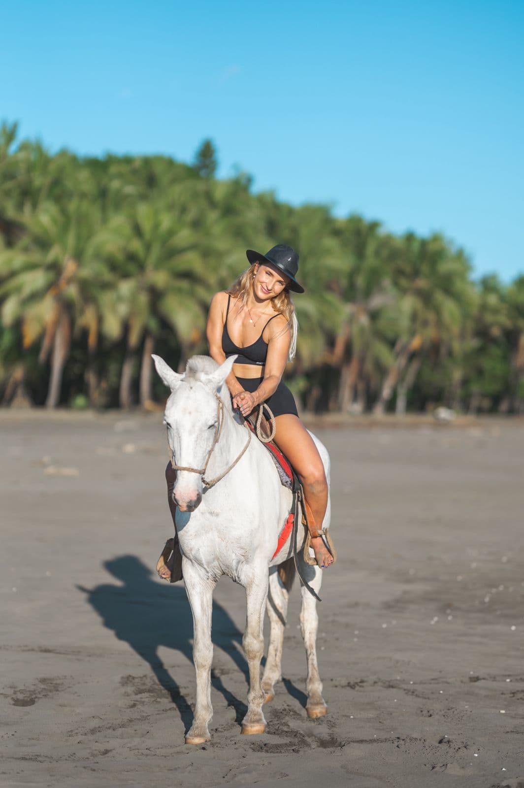 Horse Tour β photo 2