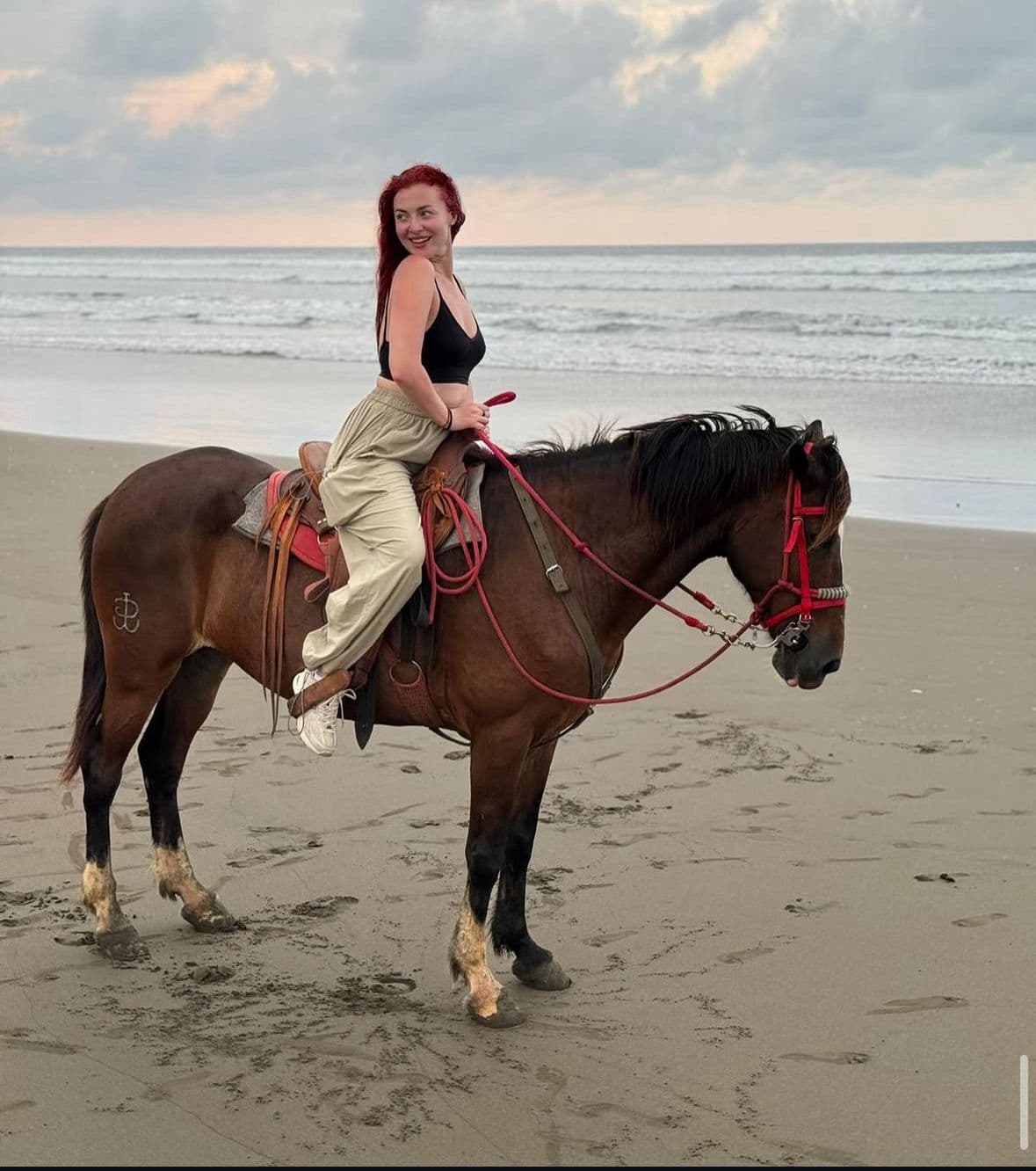 Horse Tour β photo 3