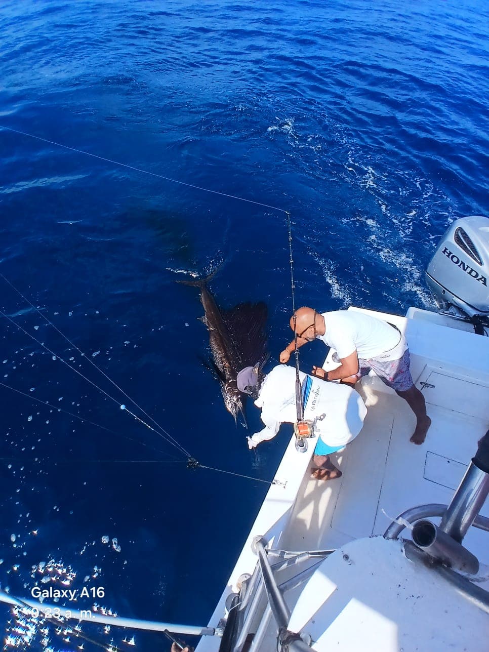 Fishing Tour β photo 2