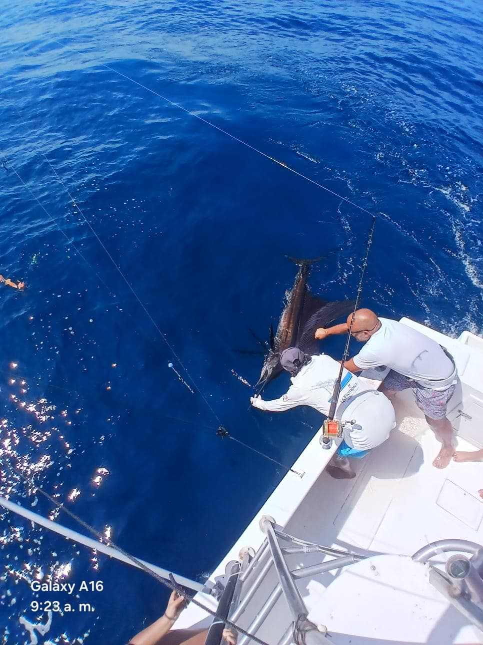 Fishing Tour β photo 4